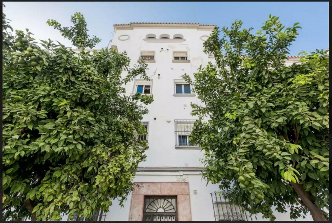 Apartamento Milagros 110 M2 Málaga Exteriör bild